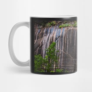 Nature's Tapestry - Zion National Park Mug